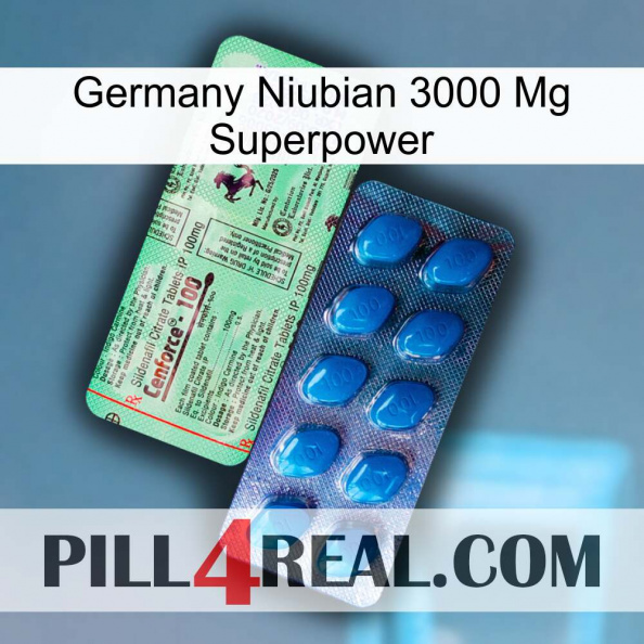 Germany Niubian 3000 Mg Superpower new02.jpg